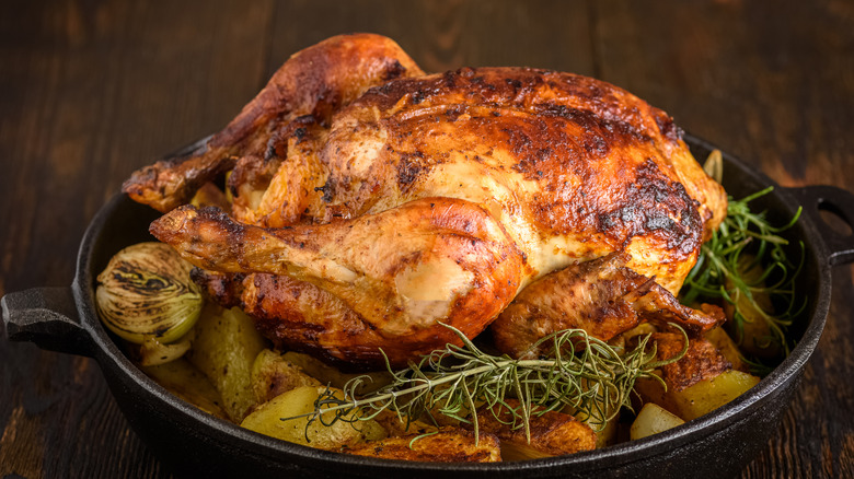 Chicken Steam (Full)